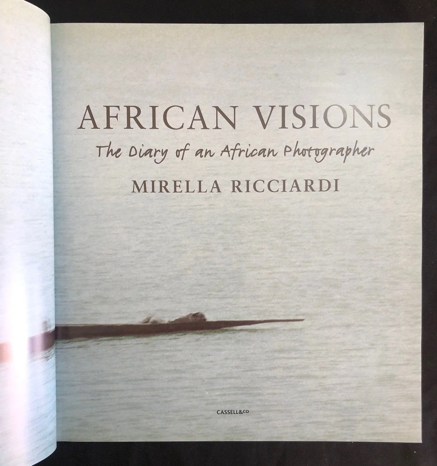 African Visions: The Diary of an African Photographer Mirella Ricciardi (2000)