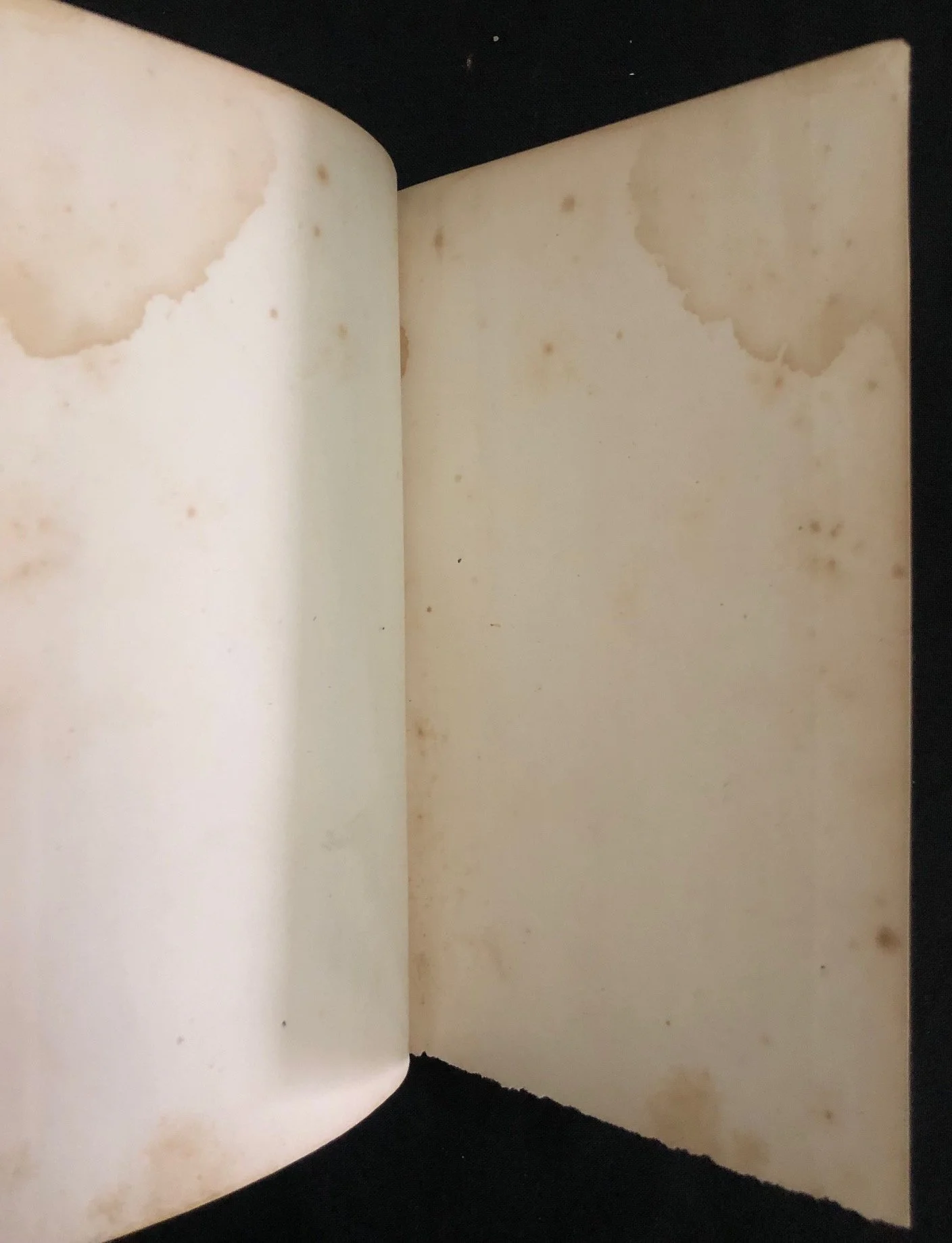 Three Visits to Madagascar 1859 6.jpg