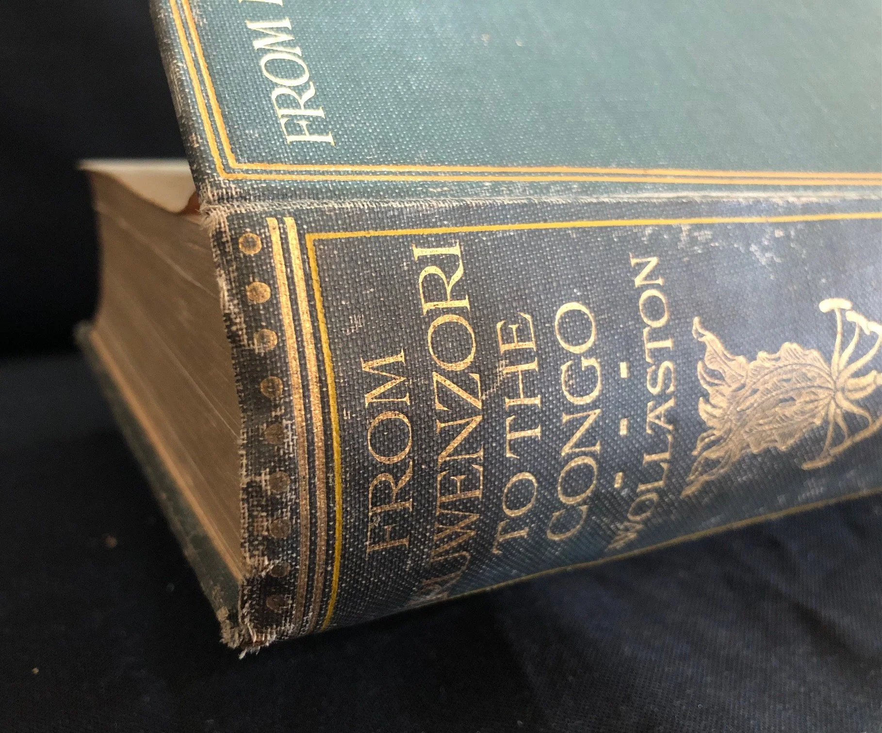 From Ruwenzori to the Congo by A.F.R. Wollaston (1908).
