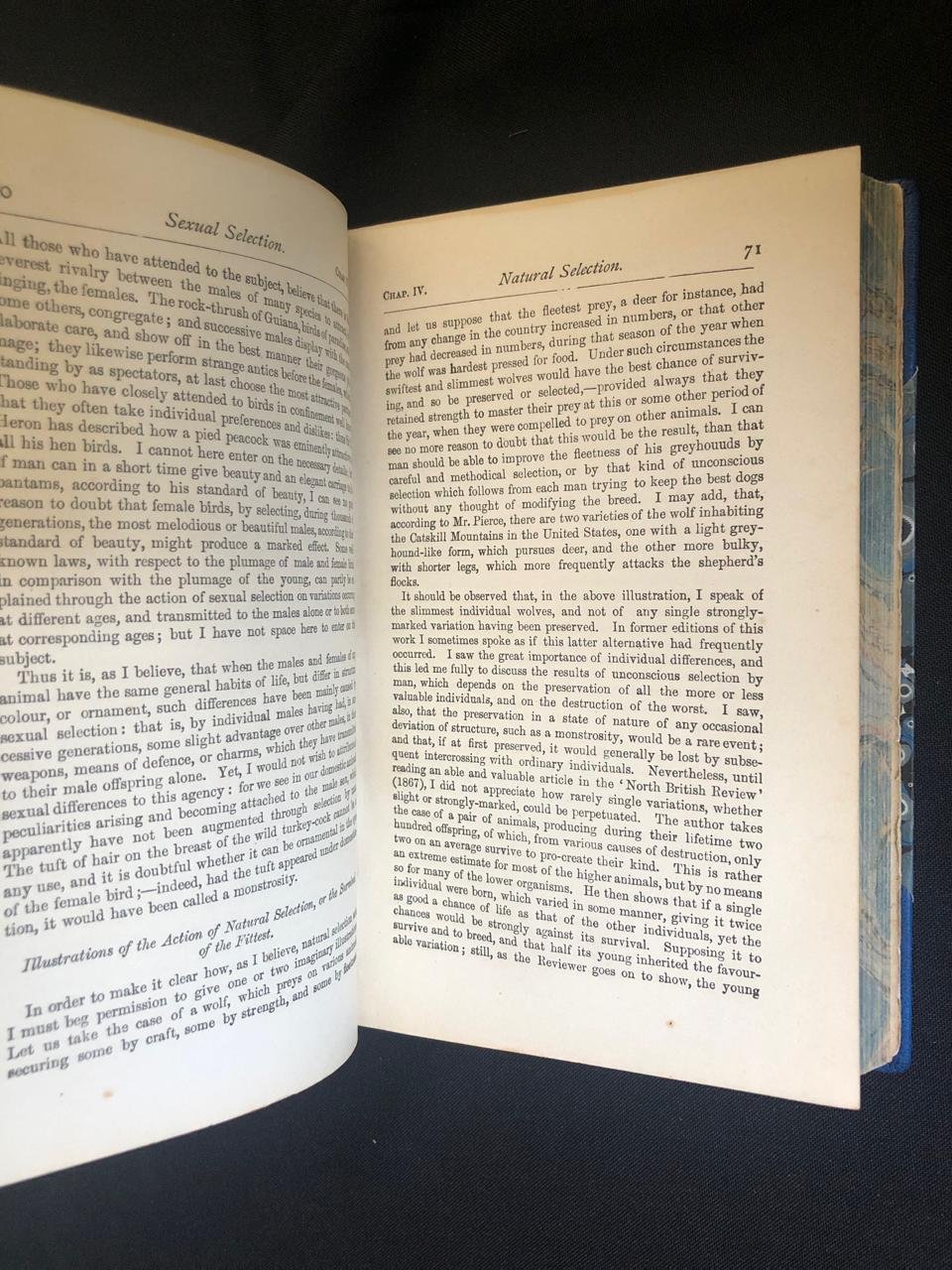 The Origin of Species by Charles Darwin (1876) 6.jpeg