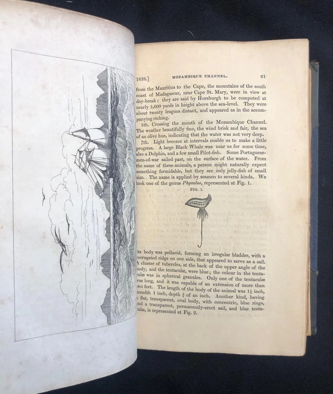 A Narrative of a Visit to the Mauritius 9.jpg