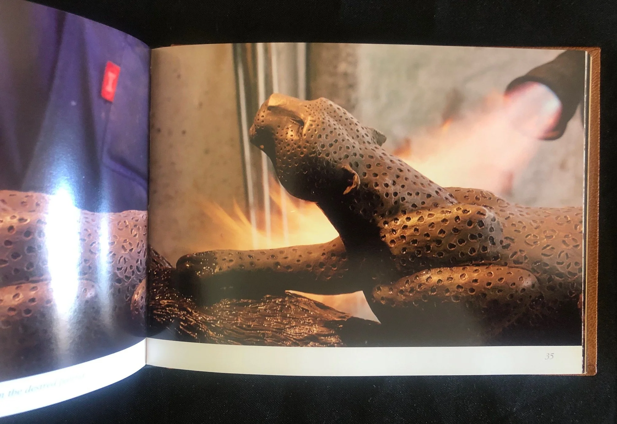 Special collector's edition of Donald Greig by Gerald Hoberman (2008)