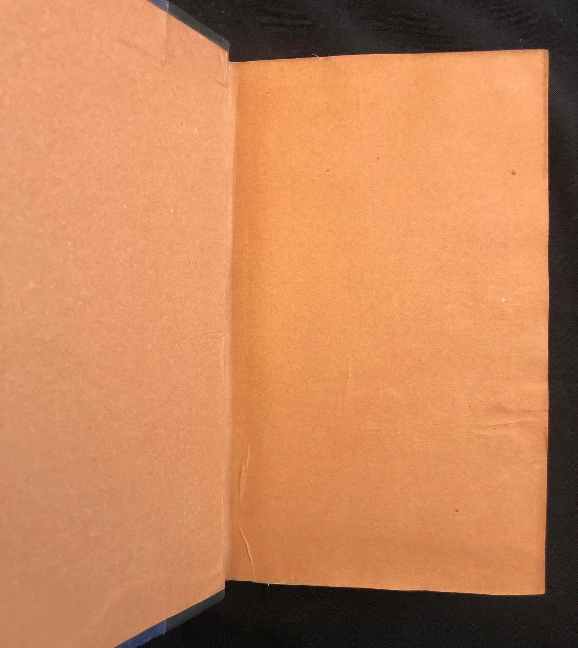 A Narrative of a Visit to the Mauritius 3.jpg