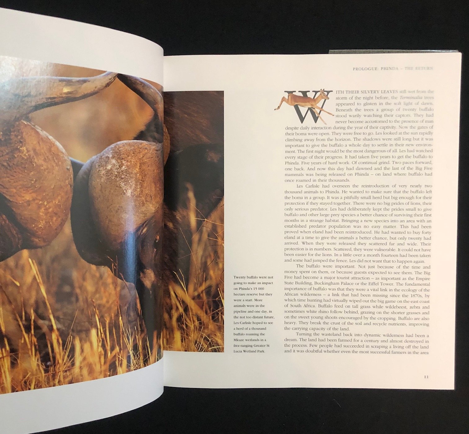 The Story of Phinda Game Reserve (1999) 7.jpg