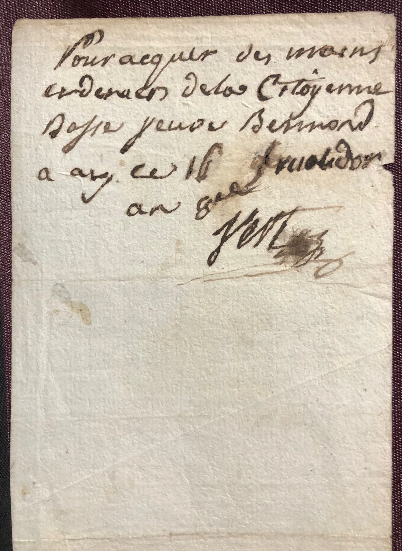 Document from the First French Republic (1799)