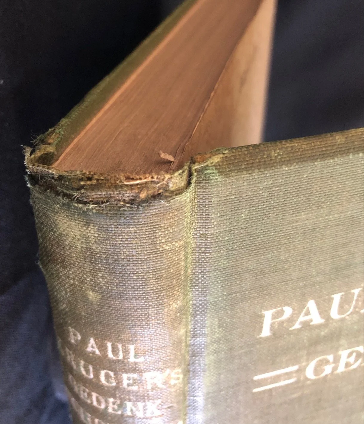 Paul Kruger’s Memoirs 2.jpg