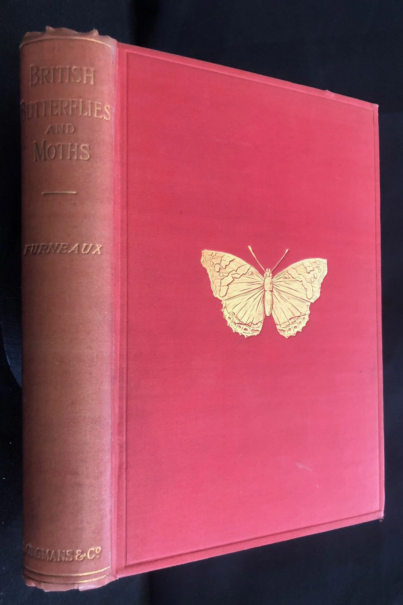 British Butterflies and Moths (1907) R750