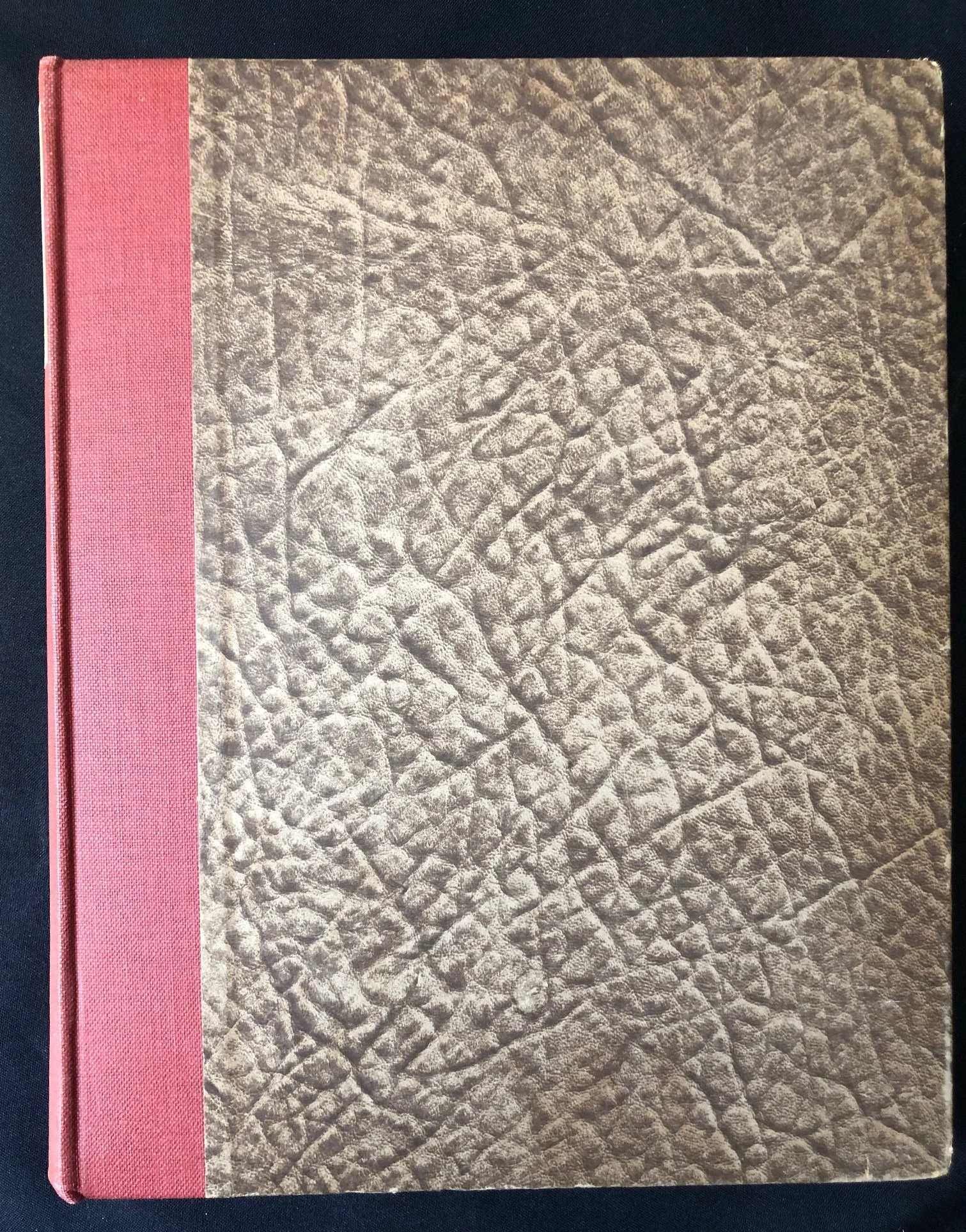 Rock-Paintings in South Africa 4.jpg