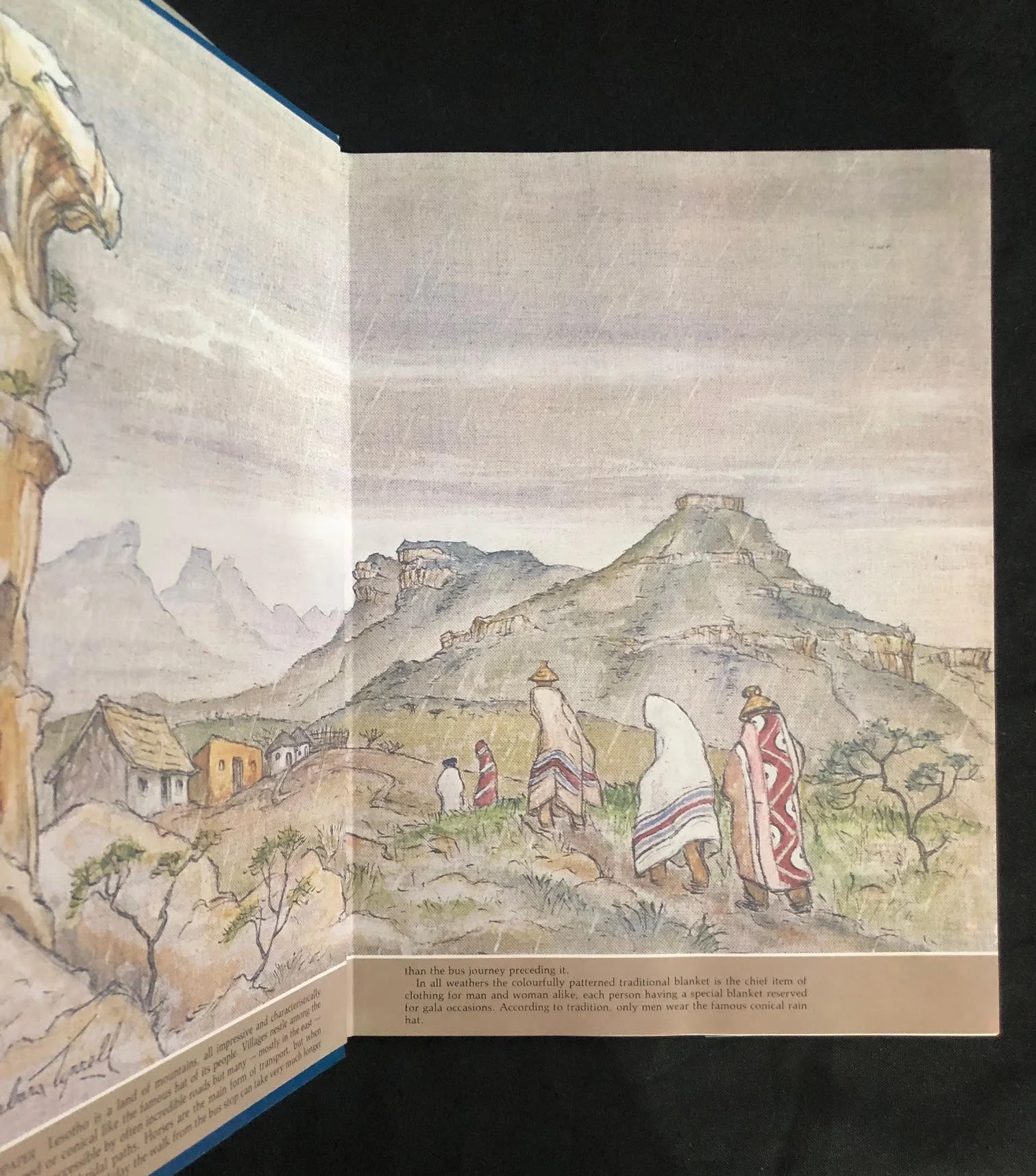 African Heritage by Barbara Tyrrell.4.jpg