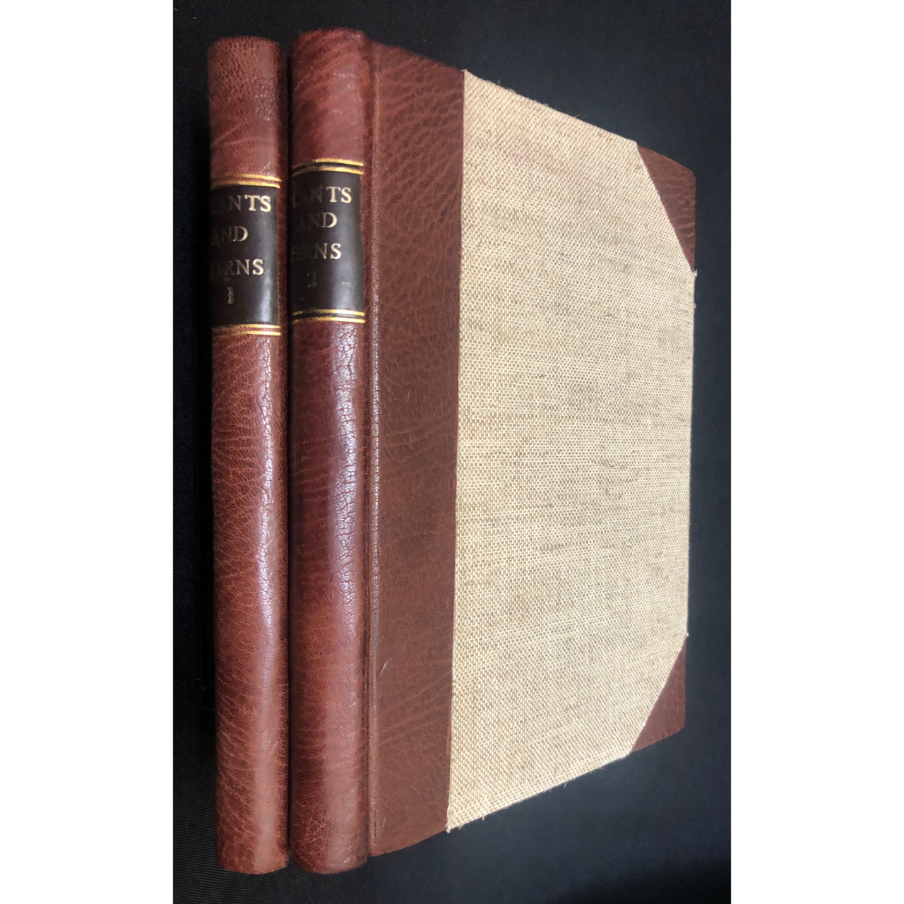 Flowering Plants and Ferns of the Transvaal, 2 vols (1926) R1,500