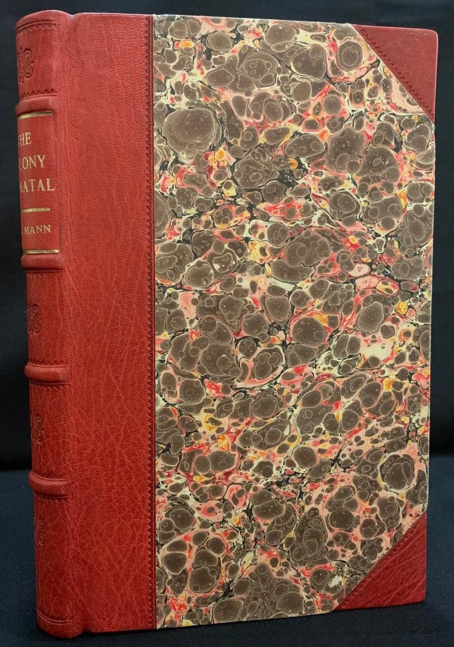 The Colony of Natal by Robert James Mann (1859) 2.jpeg