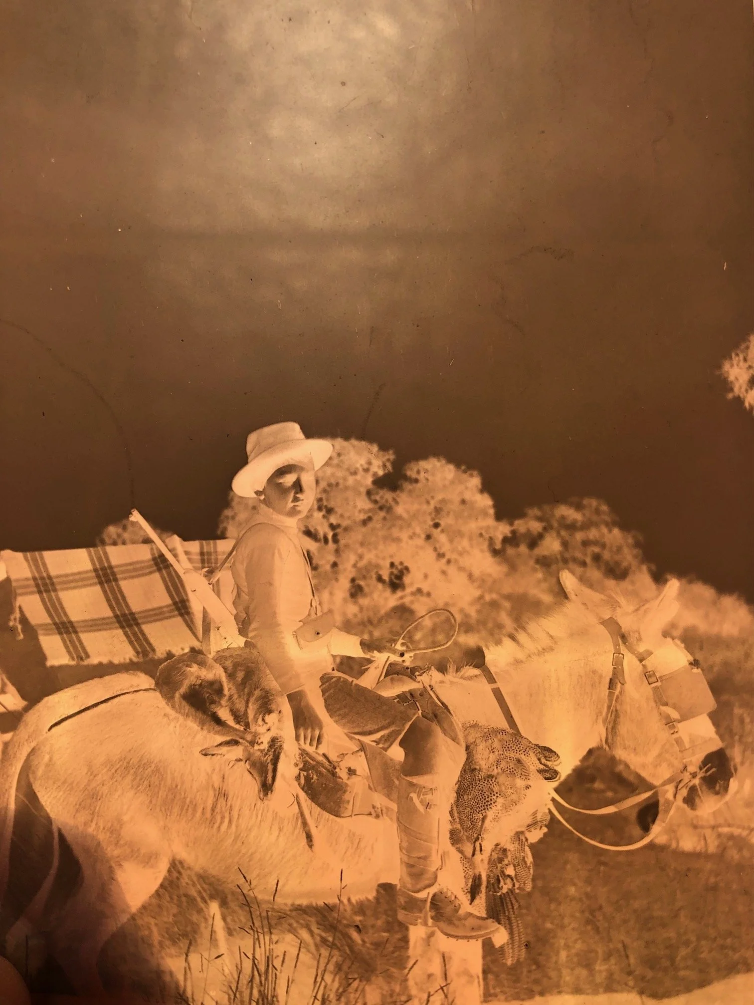 Eight By Vintage Negatives Relating to Hunting