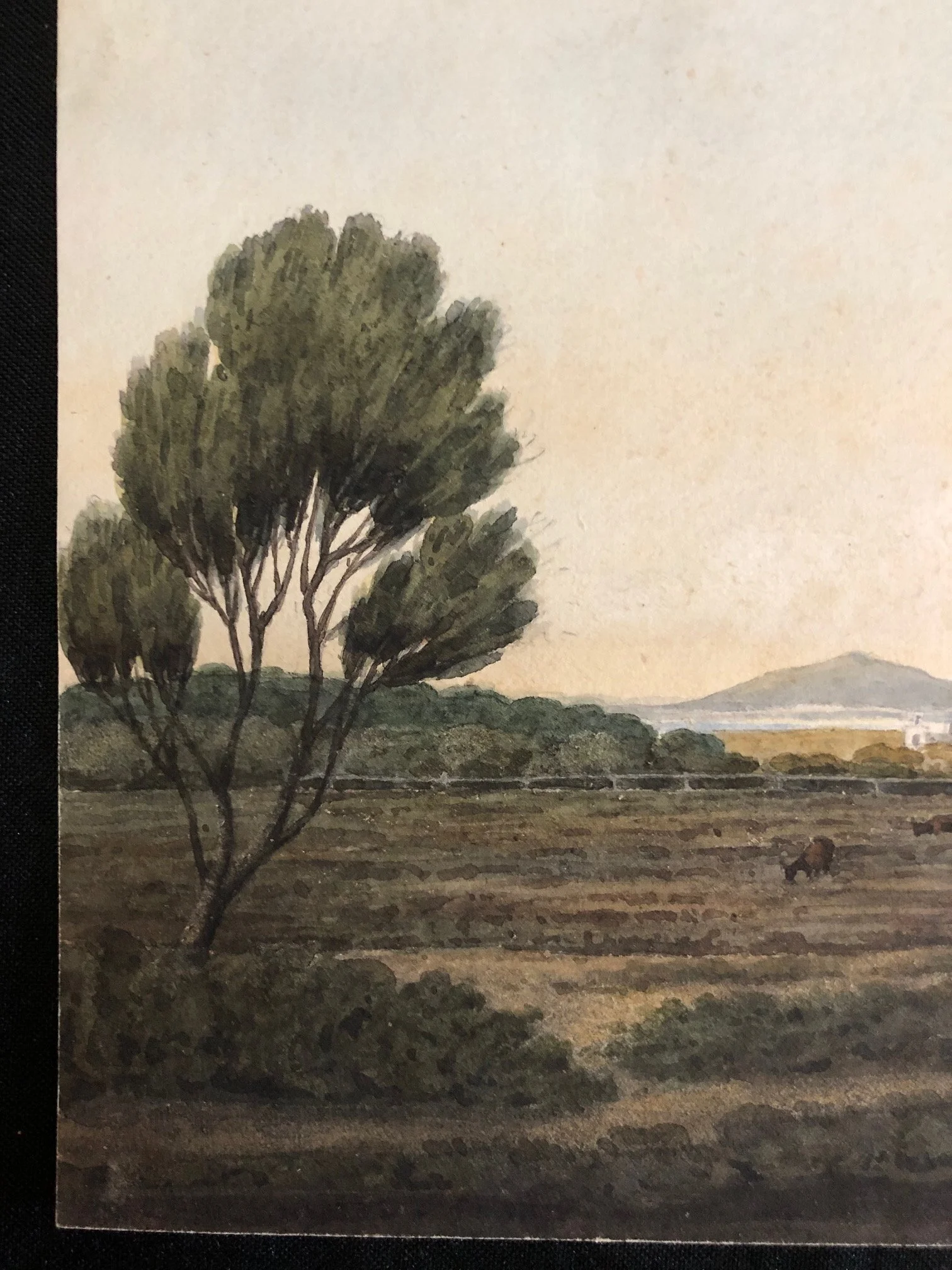 View from the Camp Ground CAPE 1842 5.jpg