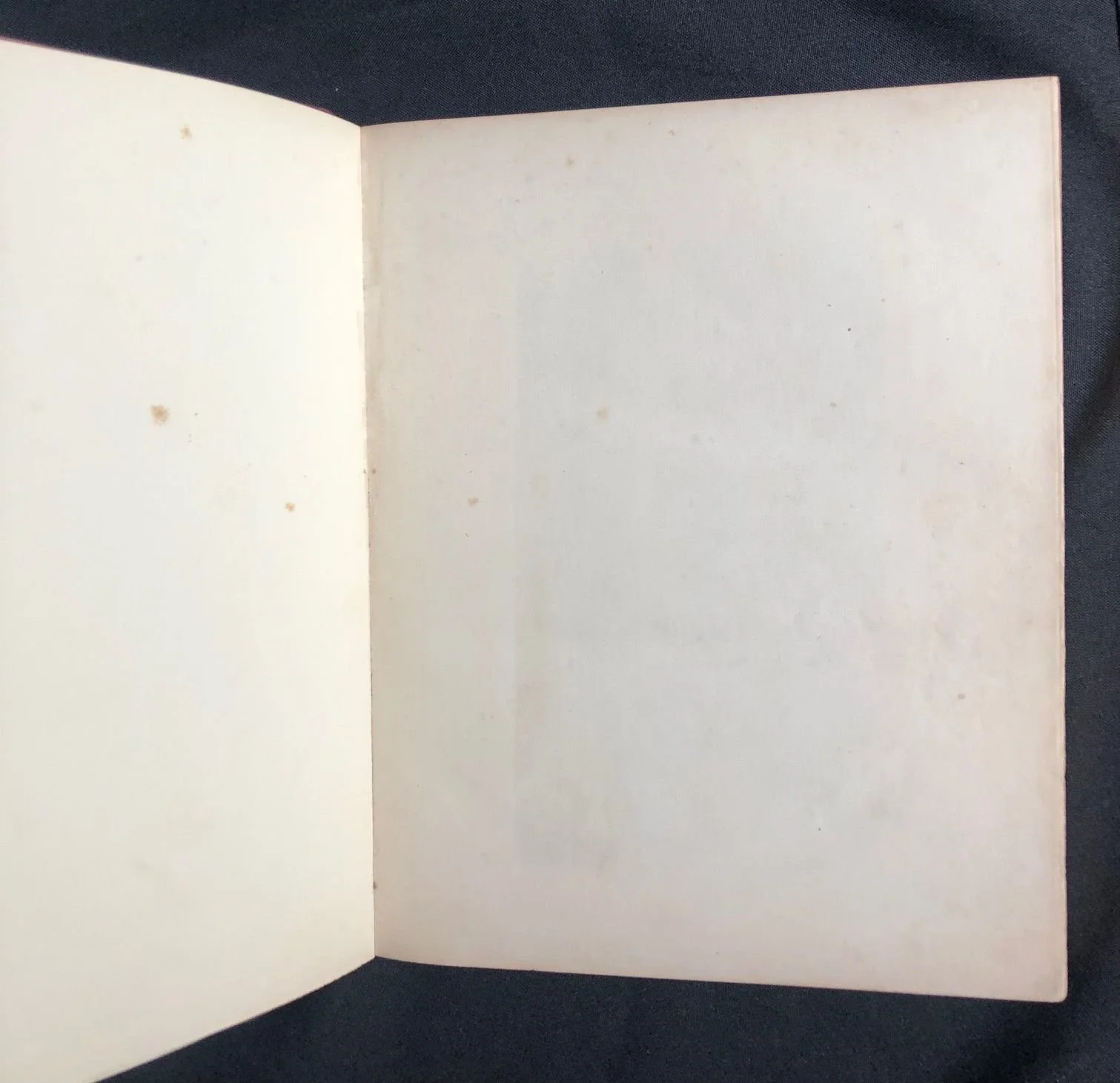 Travels and Adventures 5.jpeg