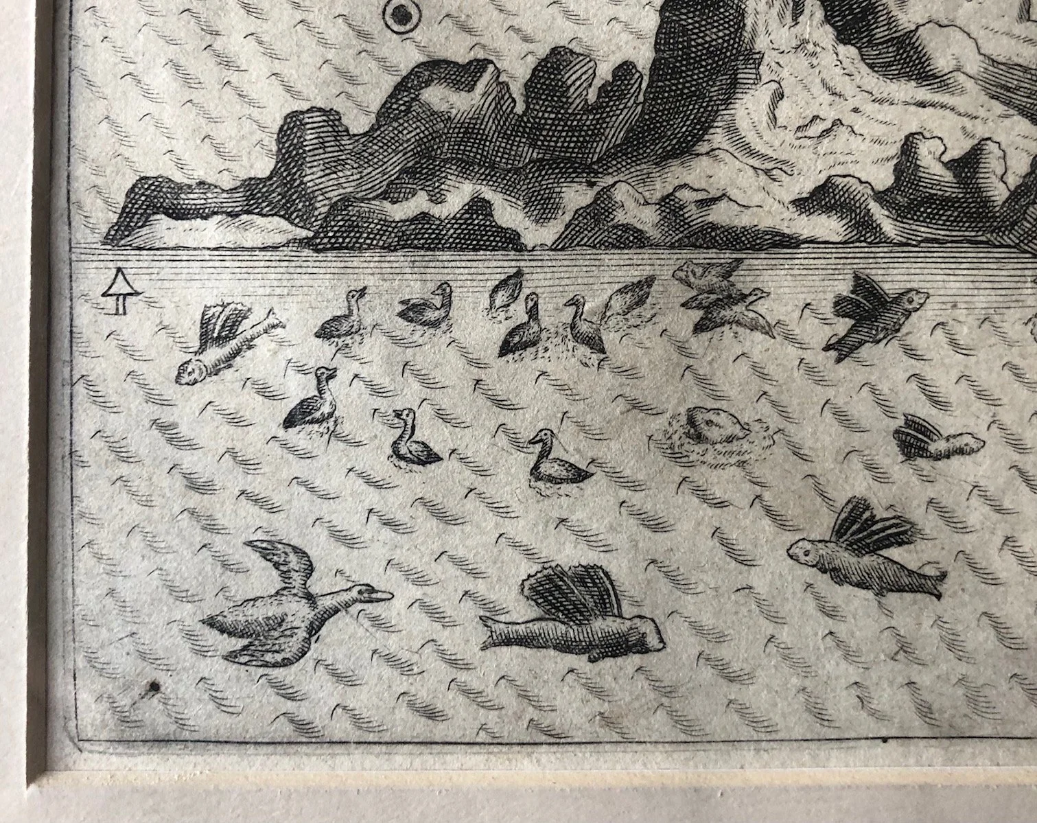 Engraving of Ascension Island, by Jan Huyghen van Linschoten (c.1598)