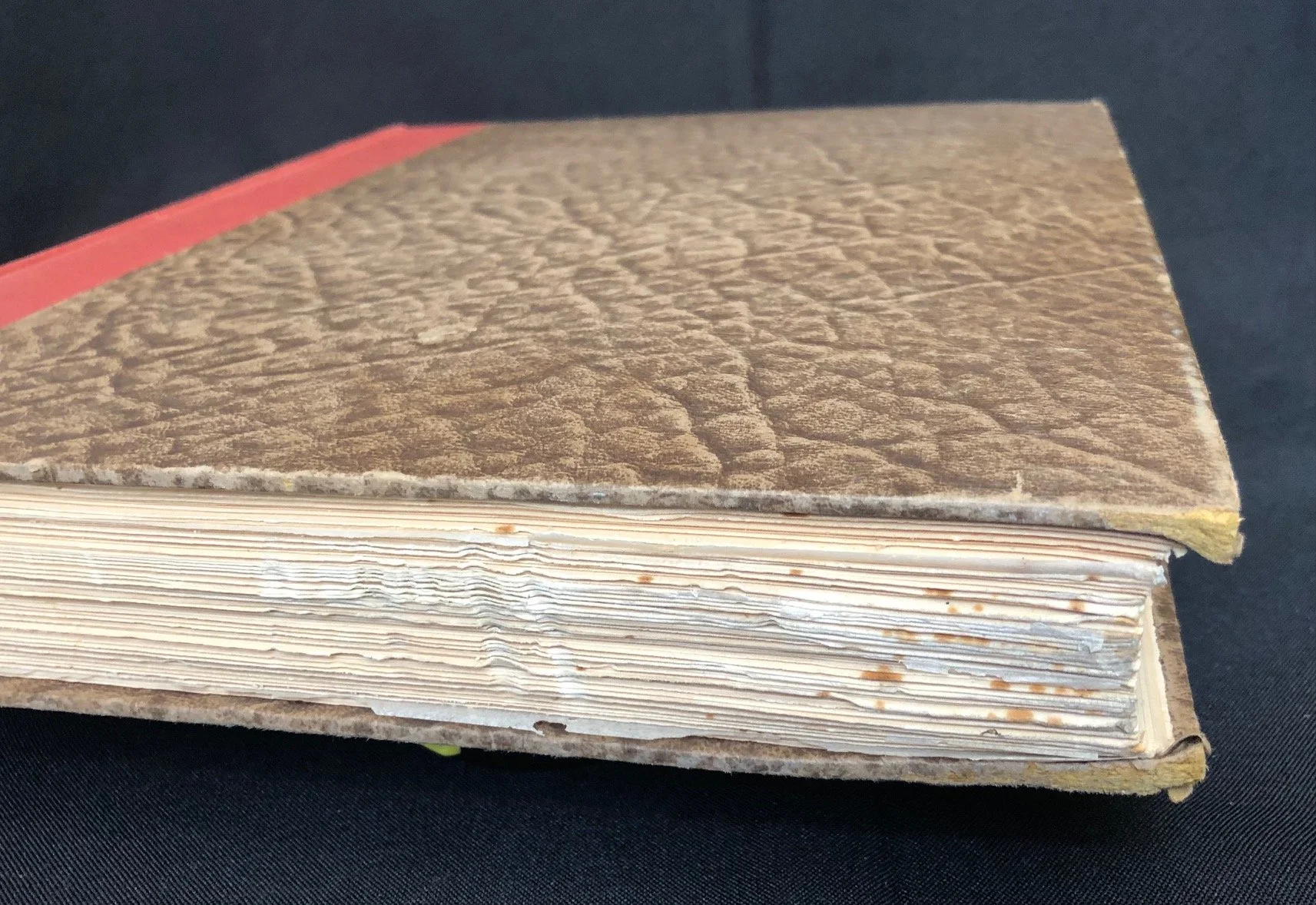 Rock-Paintings in South Africa 1.jpg