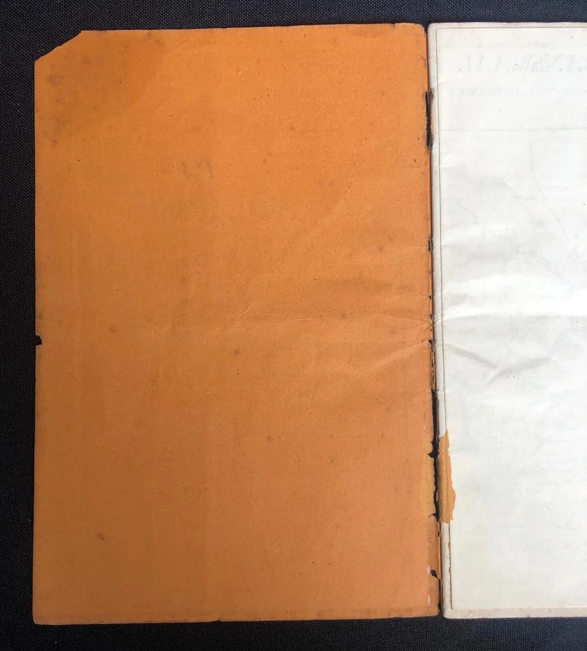 England and the Boers (Jameson Raid) 2.jpeg