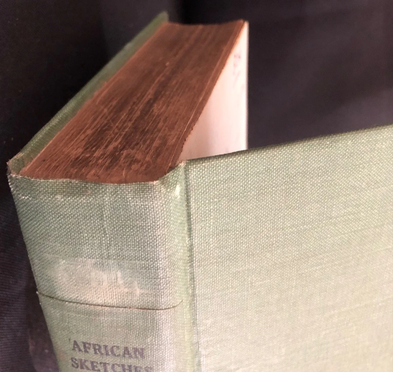 Thomas Pringle’s African Sketches 1834 2.jpg