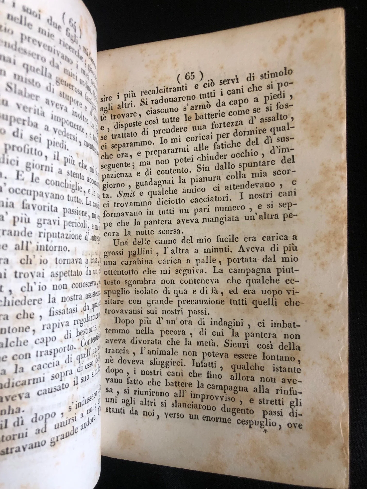 Travels in Southern Africa (Italian) 11.jpg