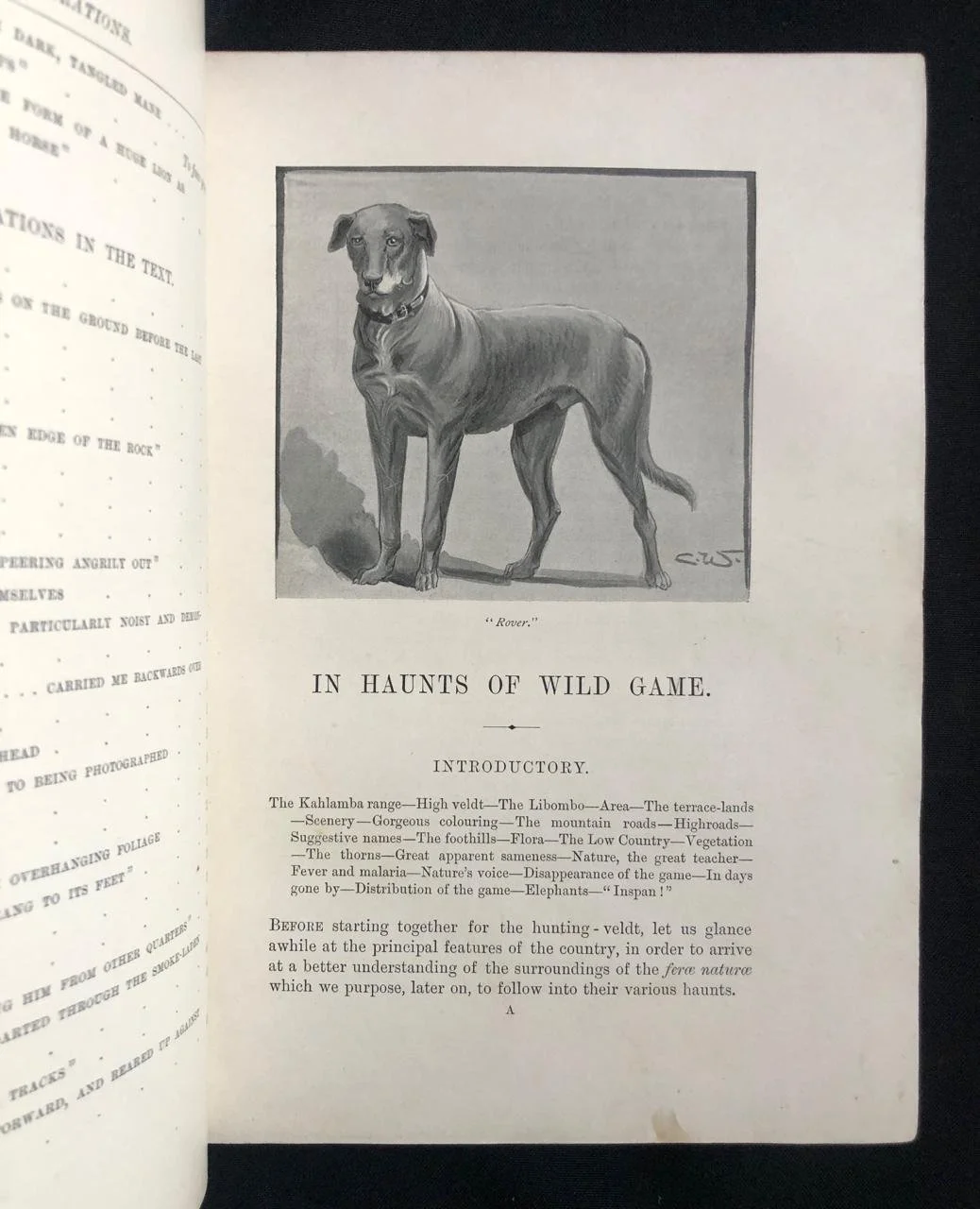 In Haunts of Wild Game (1896) 5.jpeg