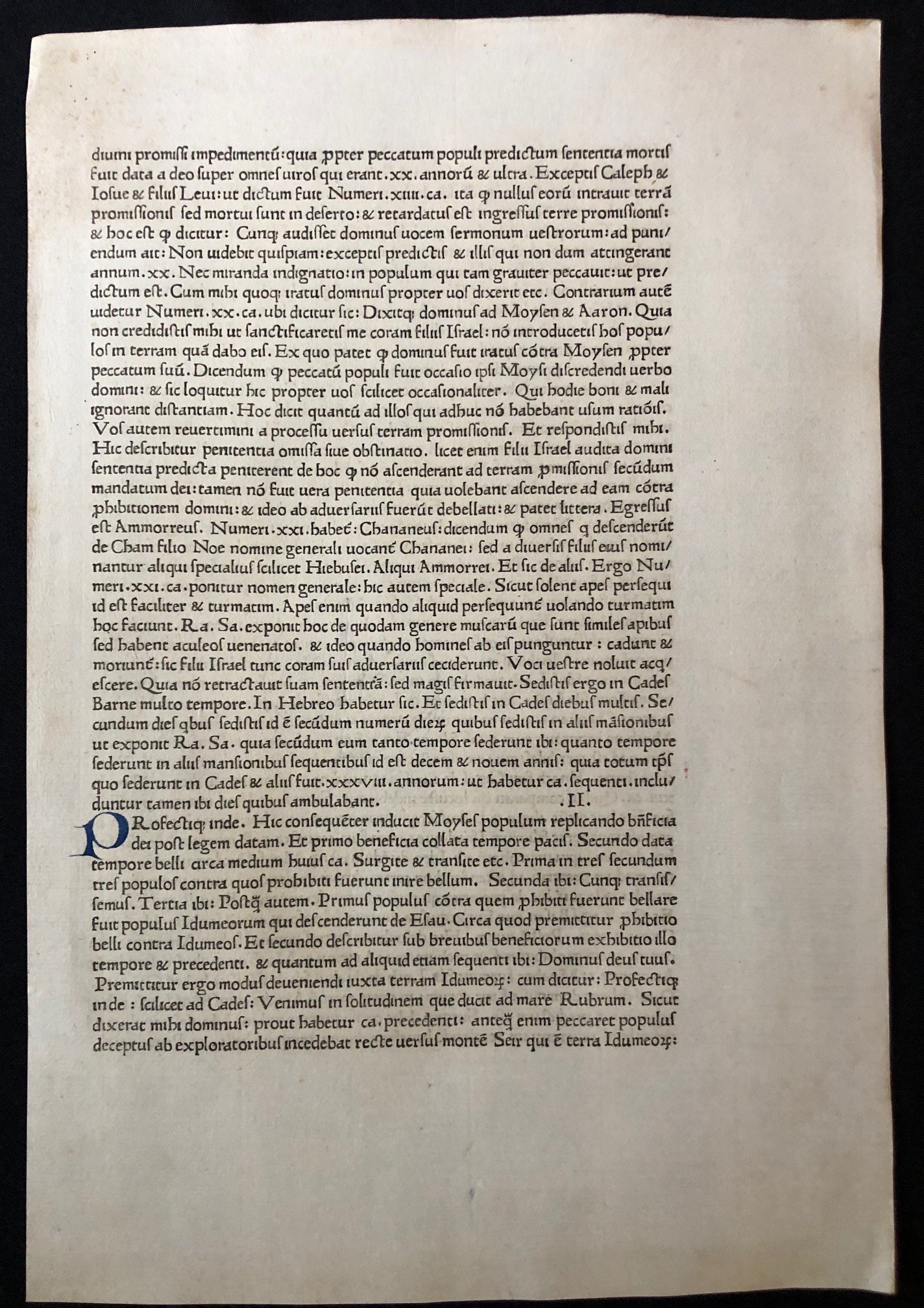 A page from Deuteronomy or Numbers (c.1500)
