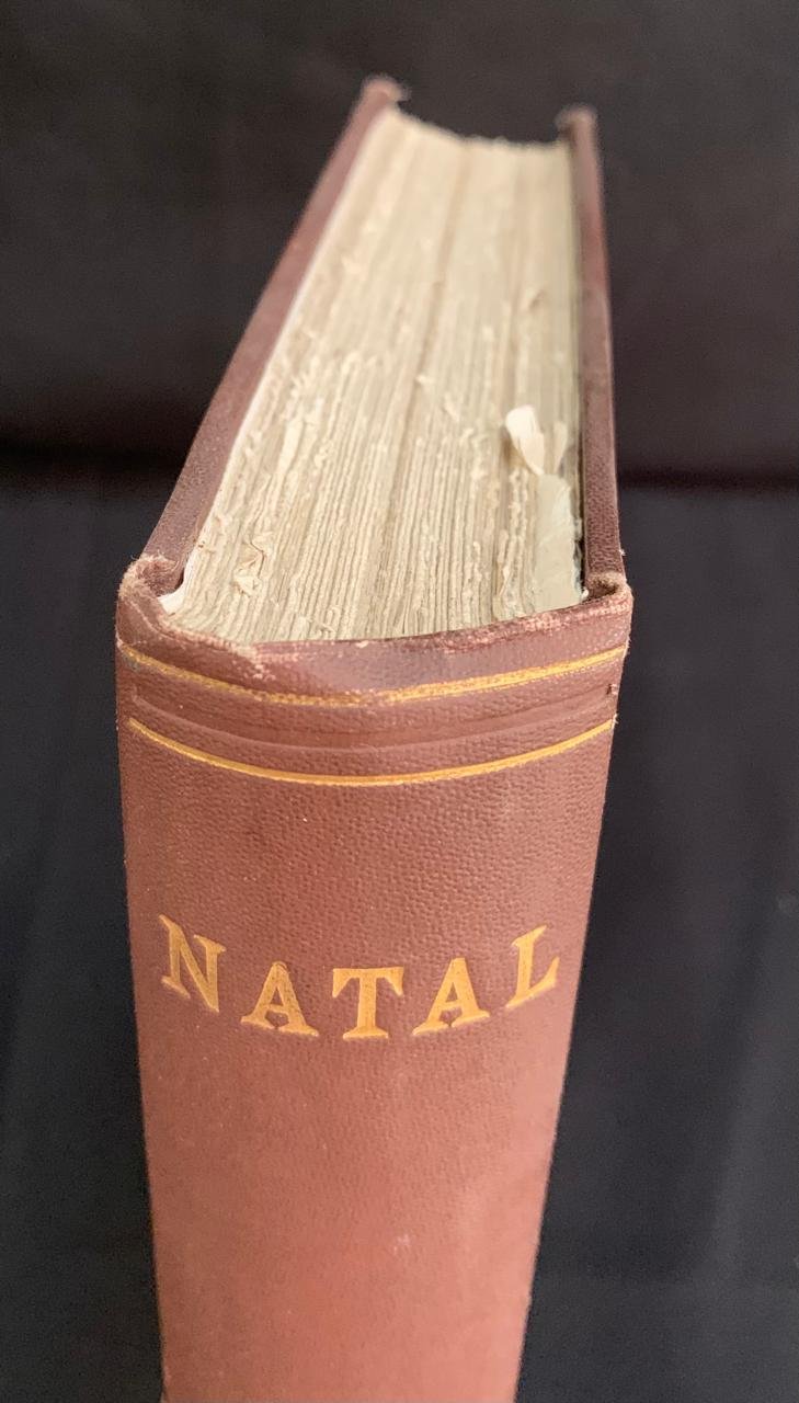 Natal by Henry Brooks 1876 12.jpeg
