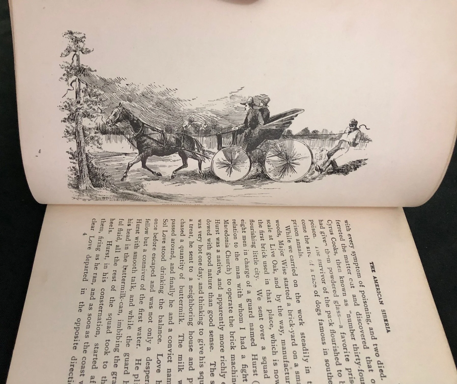 J. C. Powell’s The American Siberia