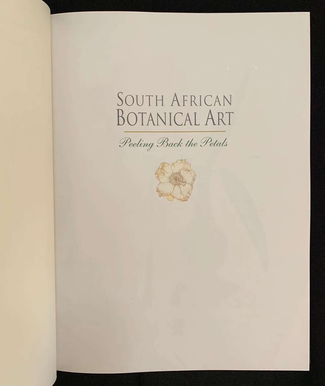 South African Botanical Art by Marion Arnold 8.jpeg