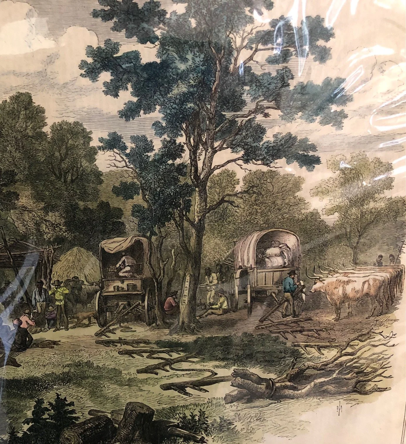 The Deka River and Valley, located in (modern-day) Zimbabwe, After Thomas Baines (1869). 