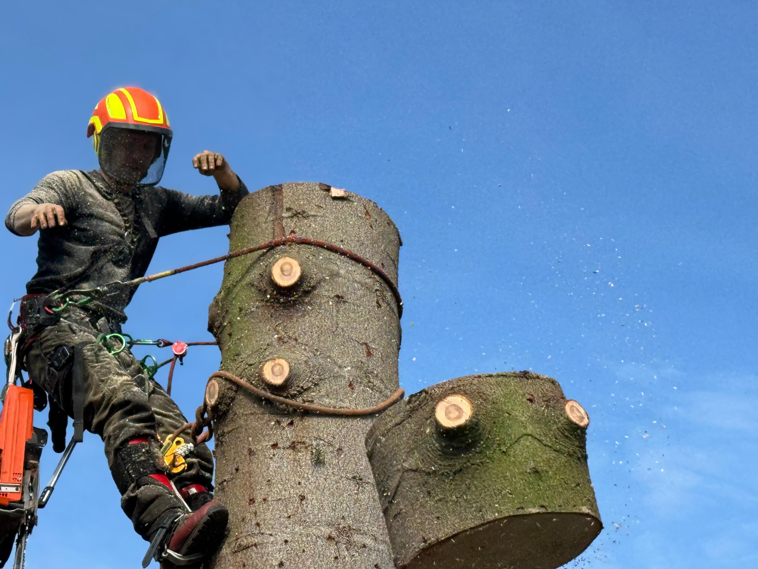 WhatsApp Image 2026-03-06 at 19.02.12 (1).jpeg