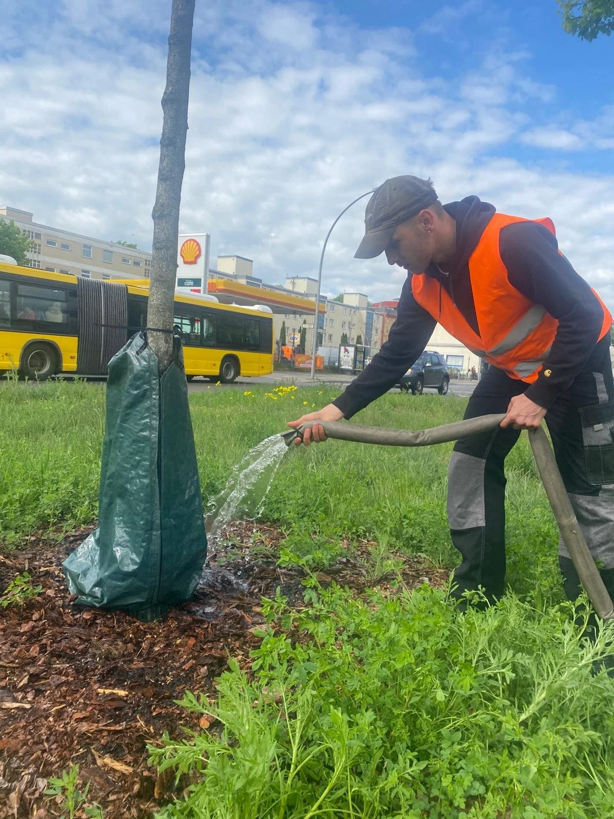 WhatsApp Image 2026-03-06 at 19.01.01.jpeg