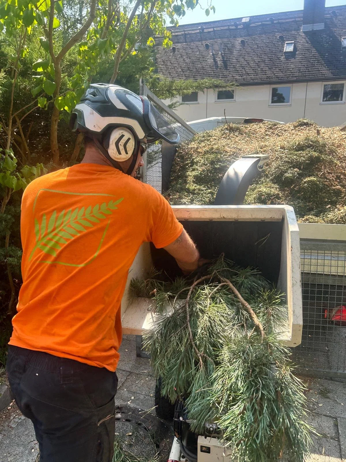 WhatsApp Image 2026-03-06 at 19.00.07.jpeg