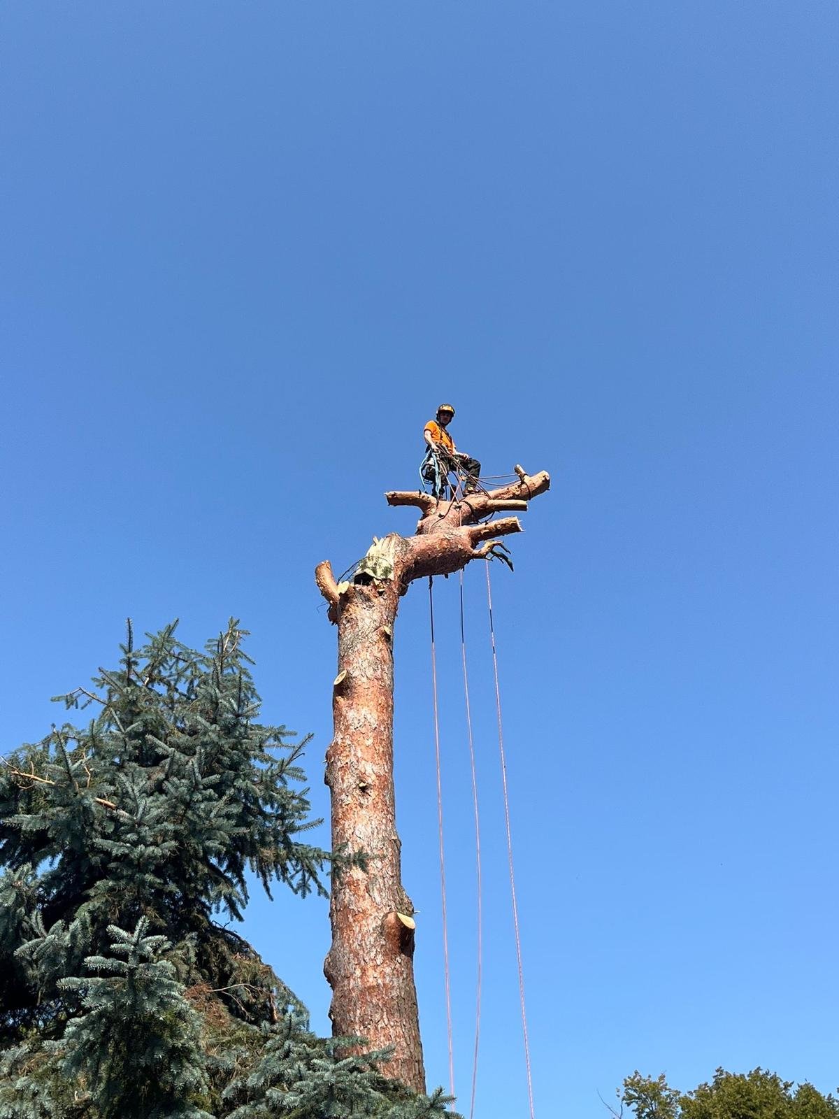 WhatsApp Image 2026-03-06 at 18.59.55.jpeg