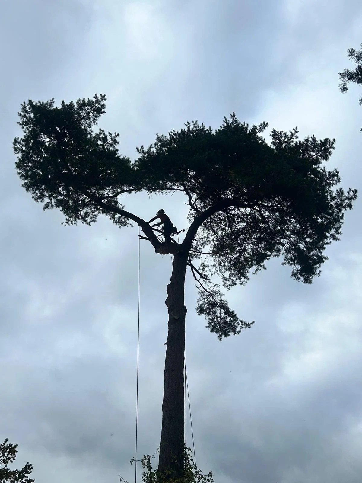 WhatsApp Image 2026-03-06 at 18.59.36.jpeg