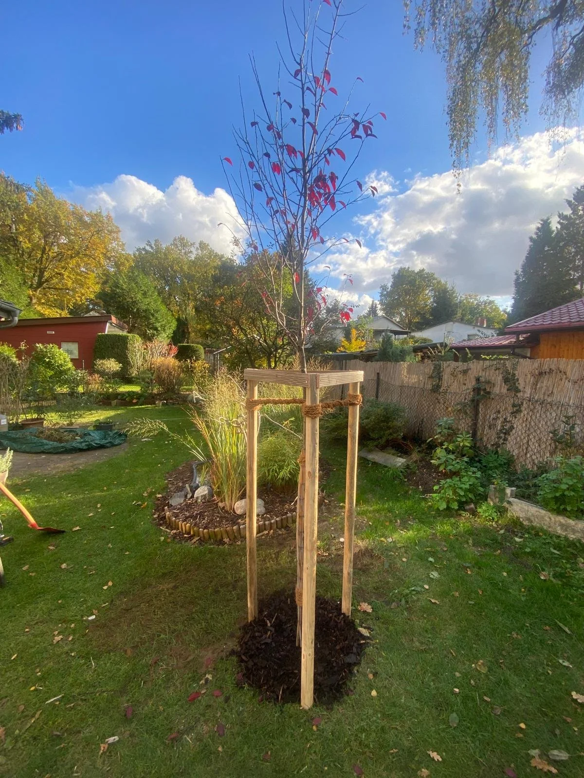 WhatsApp Image 2026-03-06 at 19.01.39.jpeg