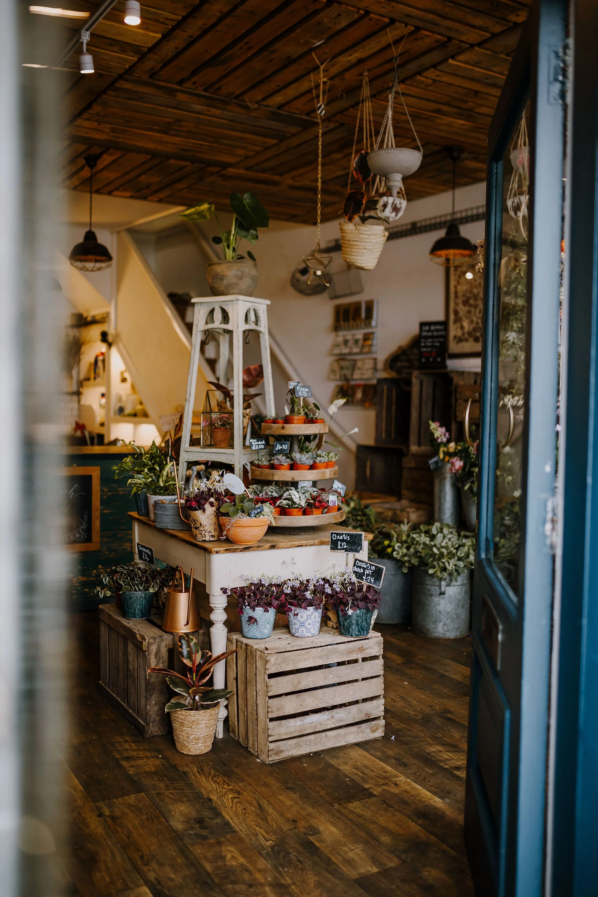 Frome-independent-market-constance-doyle-photography-www.constancedoyle.com93.jpg
