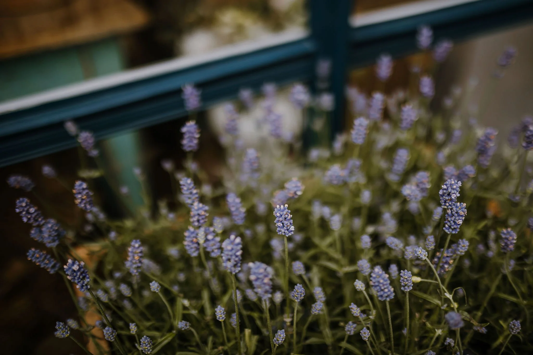 Frome-independent-market-constance-doyle-photography-www.constancedoyle.com99.jpg