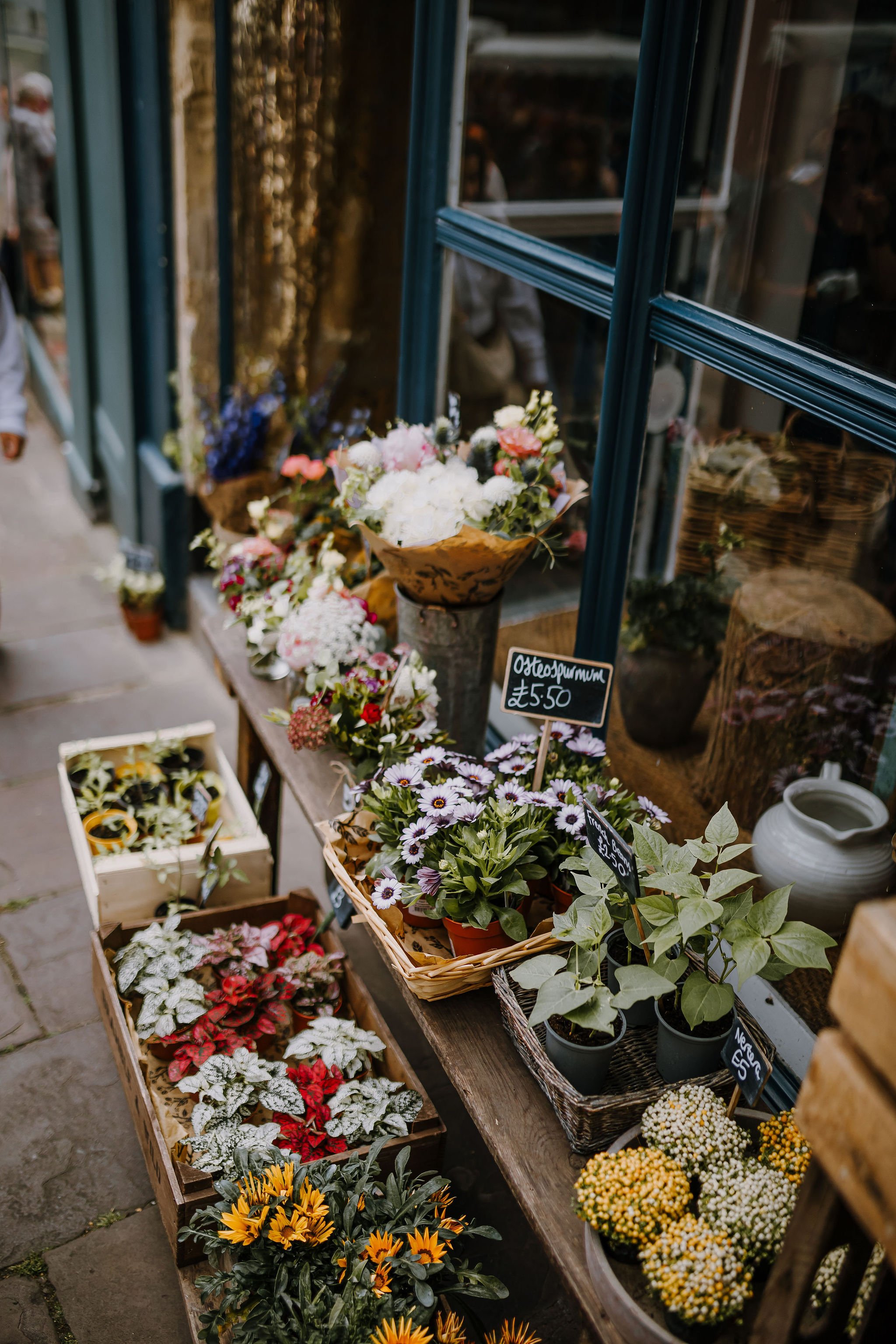 Frome-independent-market-constance-doyle-photography-www.constancedoyle.com101.jpg