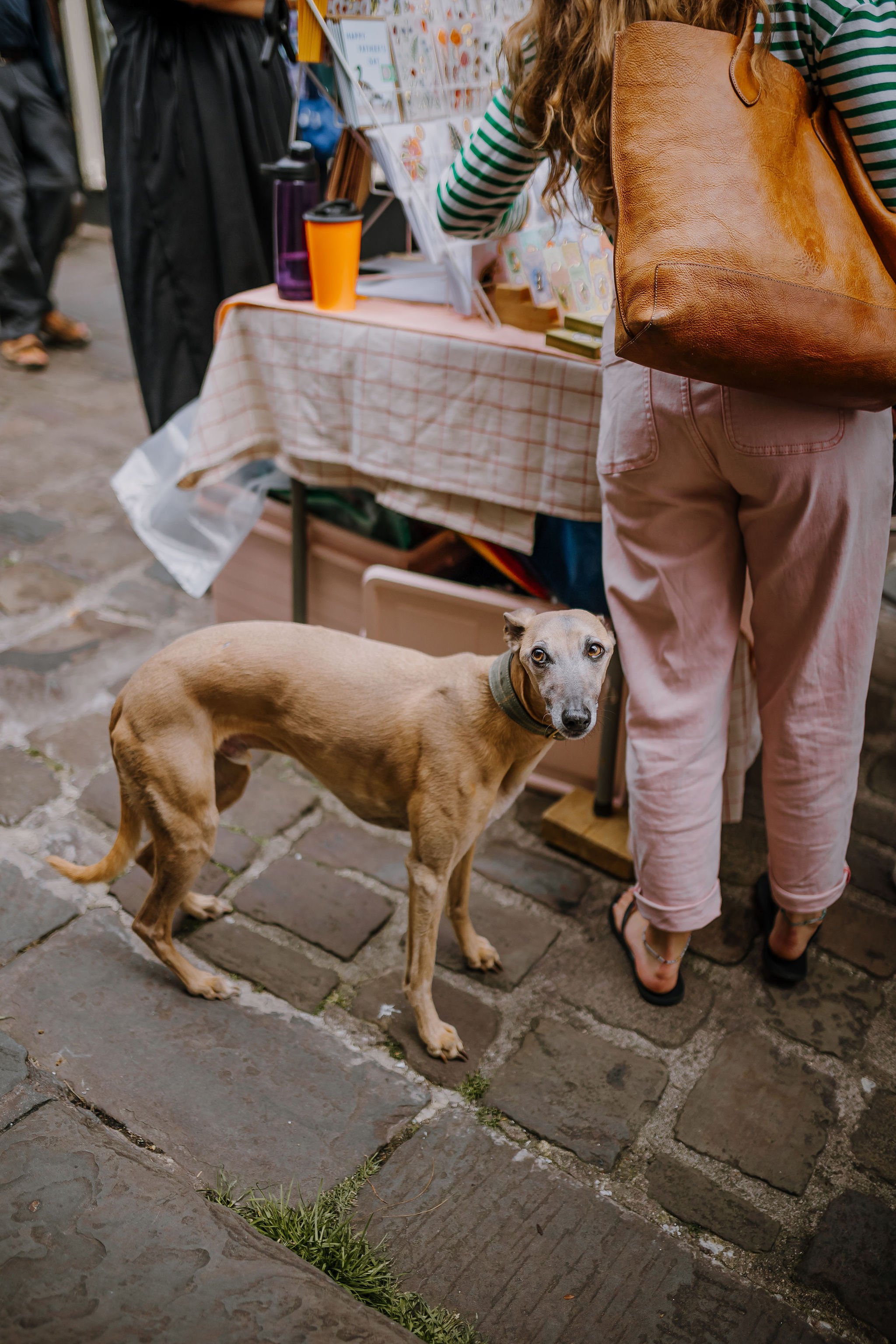 Frome-independent-market-constance-doyle-photography-www.constancedoyle.com134.jpg