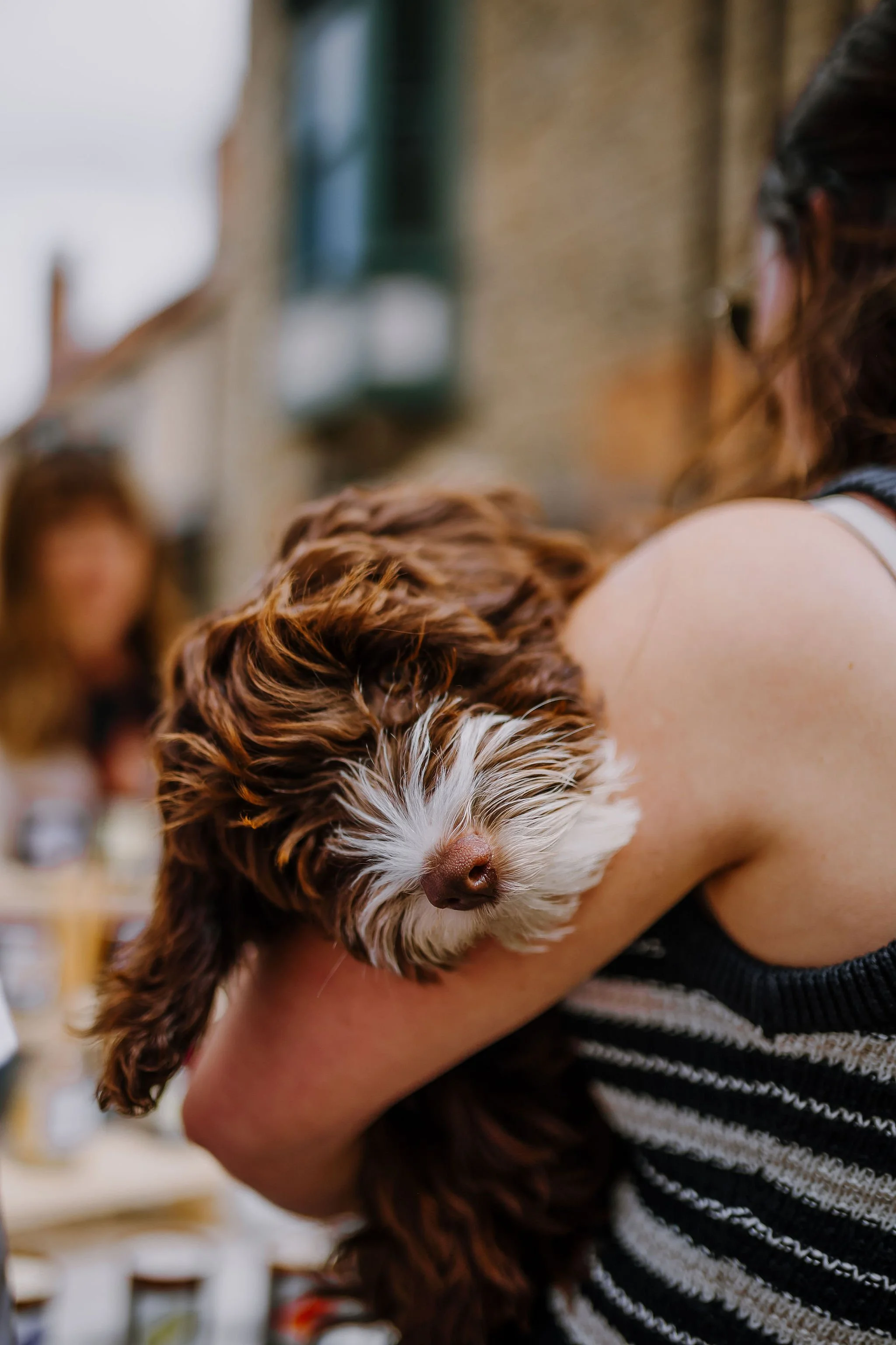 Frome-independent-market-constance-doyle-photography-www.constancedoyle.com143.jpg