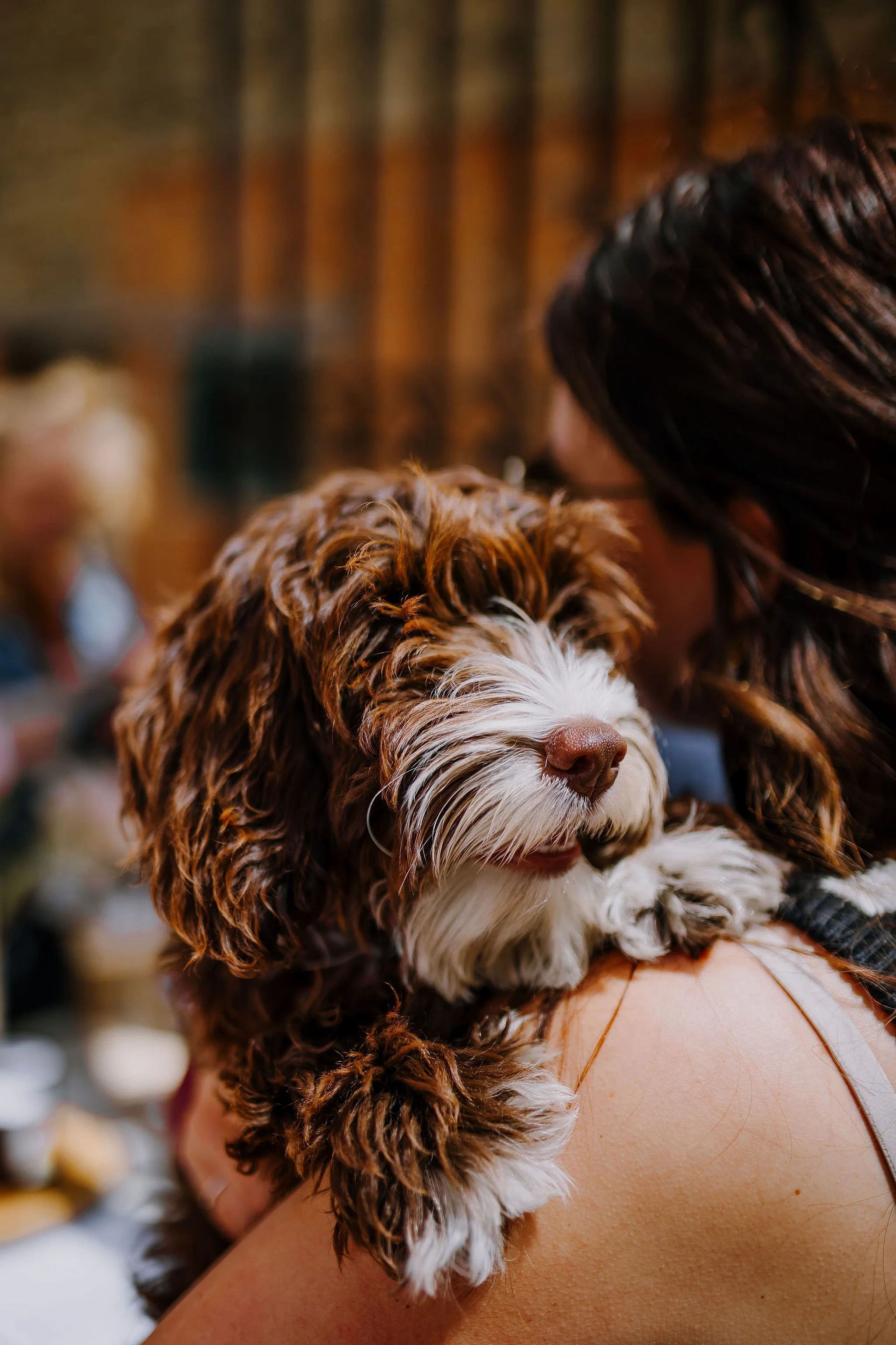 Frome-independent-market-constance-doyle-photography-www.constancedoyle.com152.jpg