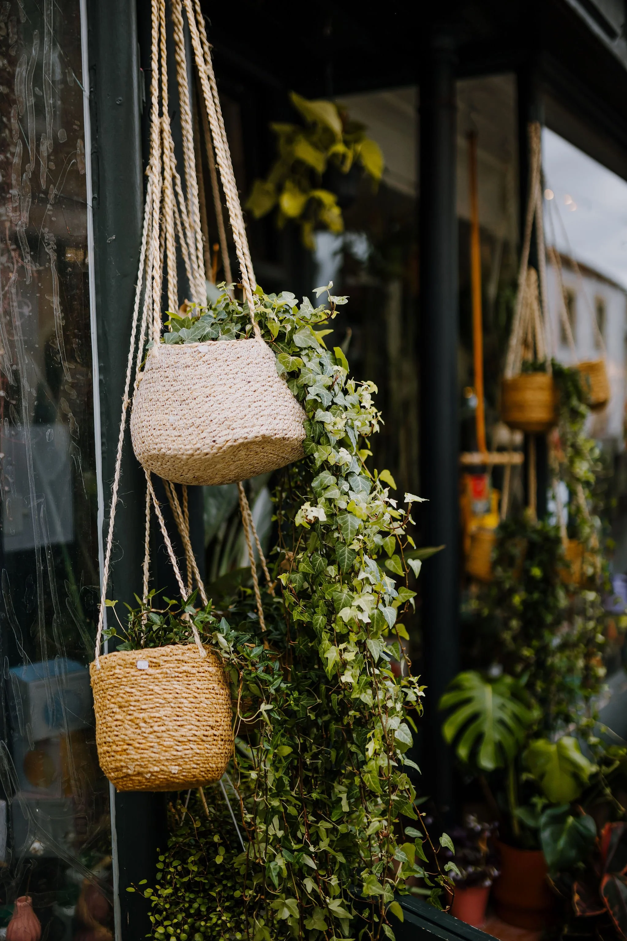 Frome-independent-market-constance-doyle-photography-www.constancedoyle.com217.jpg