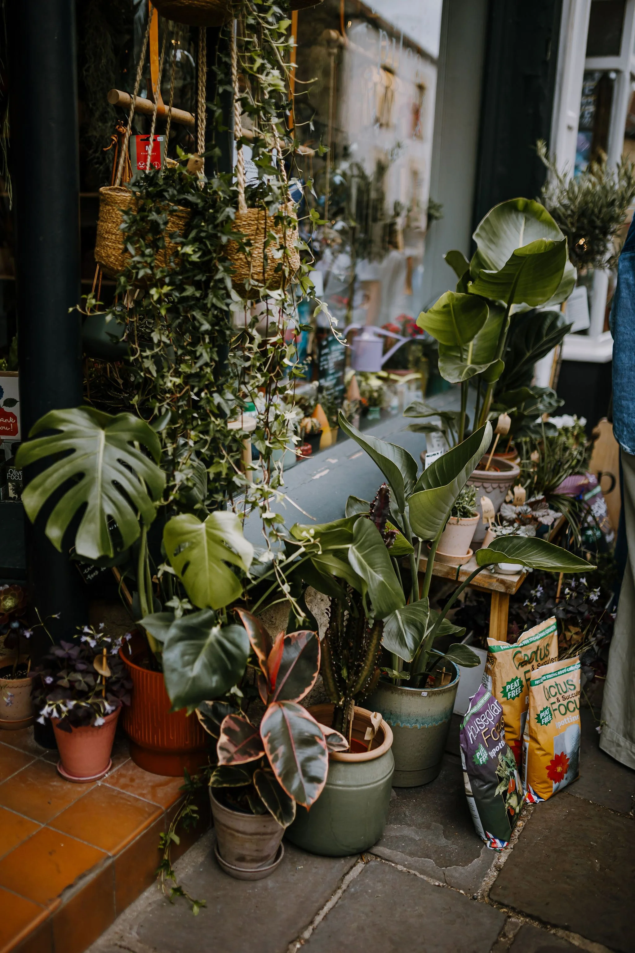 Frome-independent-market-constance-doyle-photography-www.constancedoyle.com218.jpg