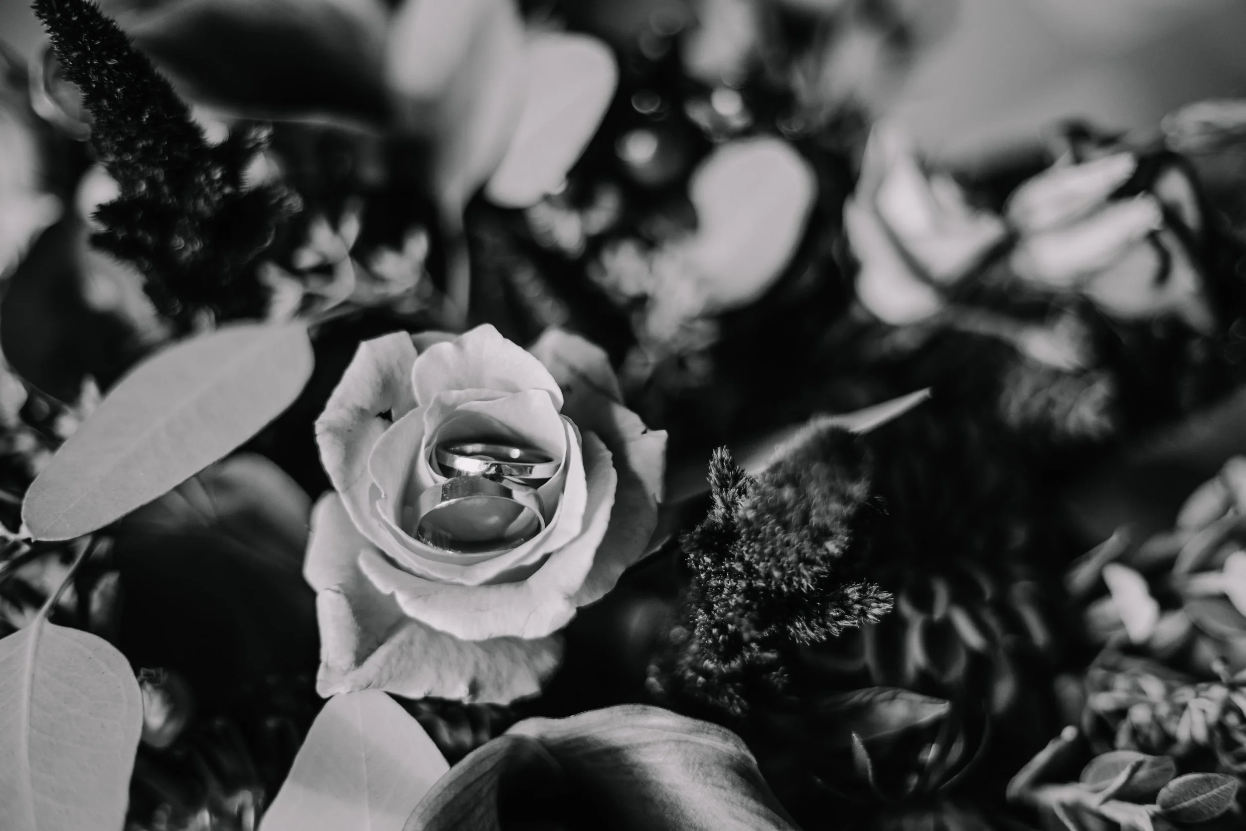 wedding-photographer-buckinghamshire-somerset-south-west 5.jpeg