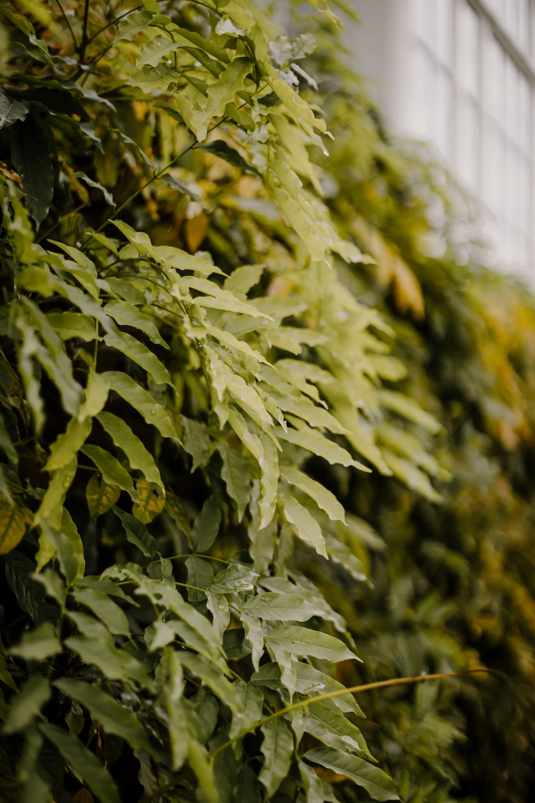 wedding-photographer-buckinghamshire-somerset-south-west 3.jpeg