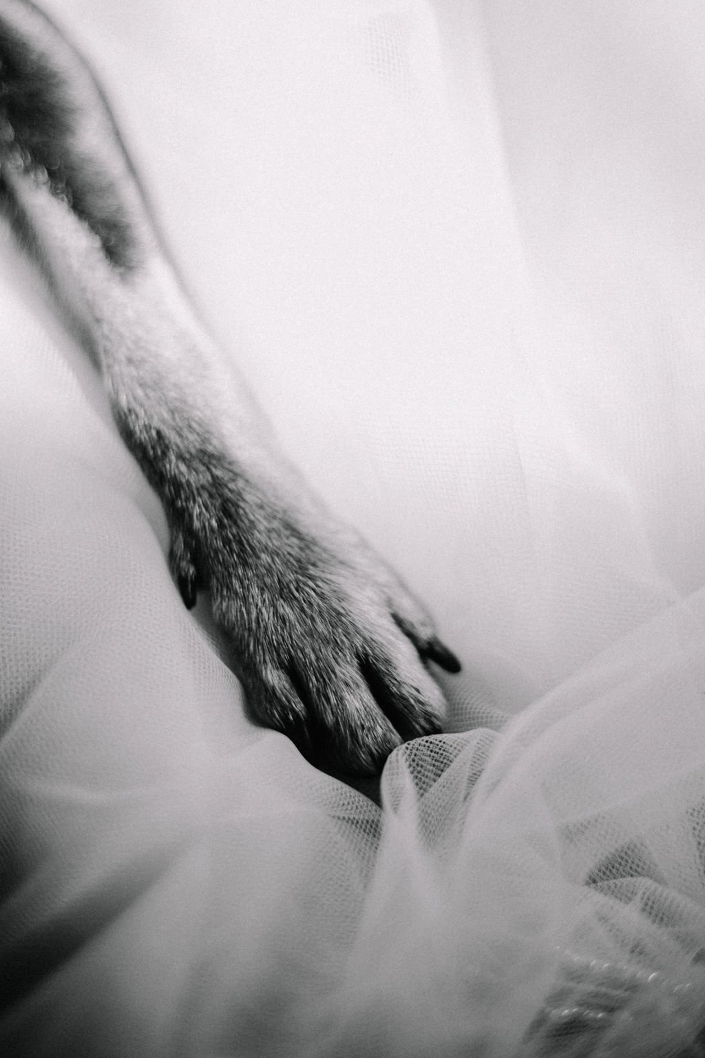 ConstanceDoylePhotography-mariageRozenn&Julien125.jpg