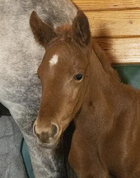 2020 Wake Up Smiling