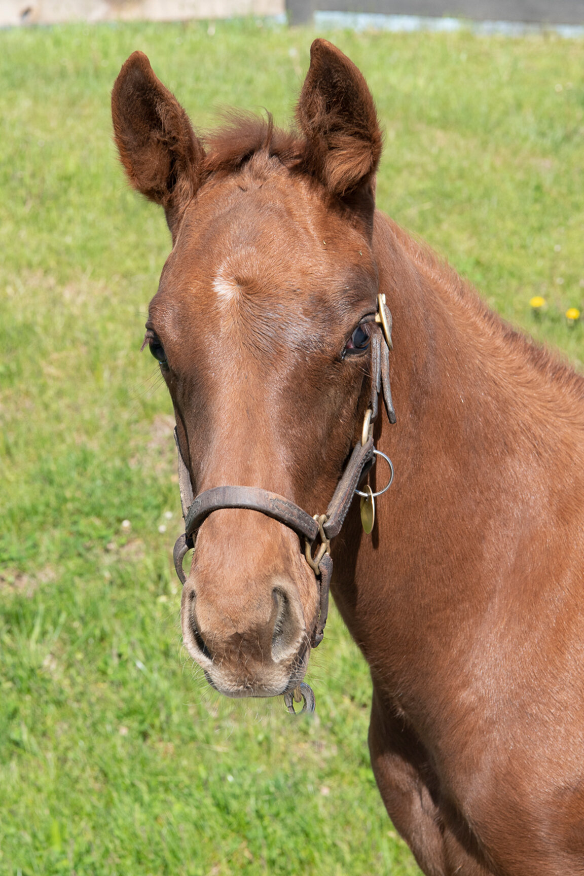 2020 Clearly Cheating