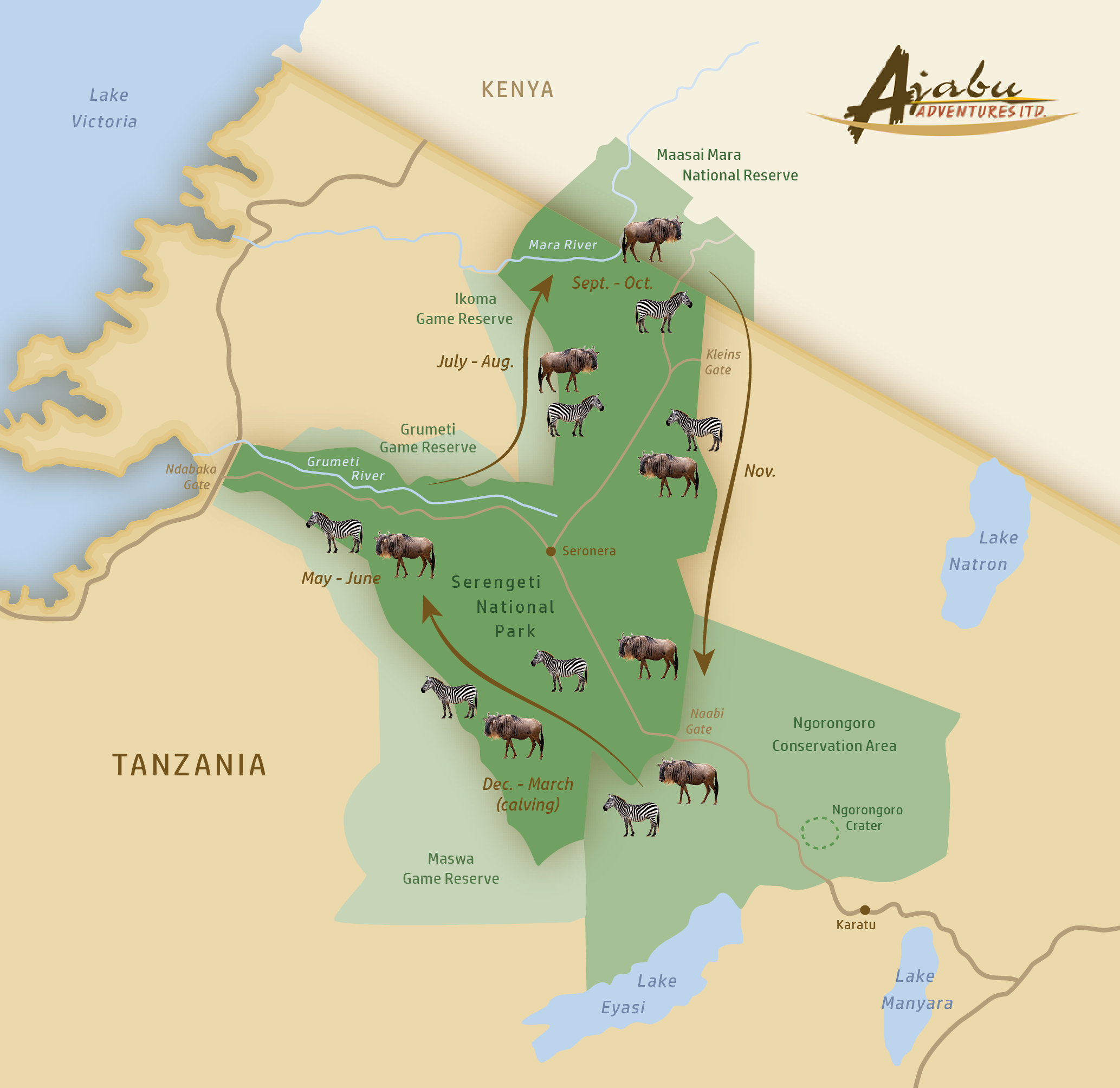 The Wildebeest Migration guide - Serengeti Wildebeest Migration Map Ajabu Adventures