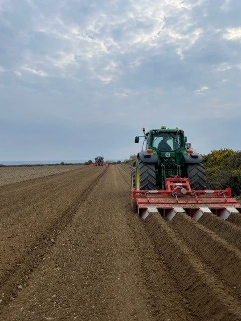 Back of Tractor Tilling.jpg